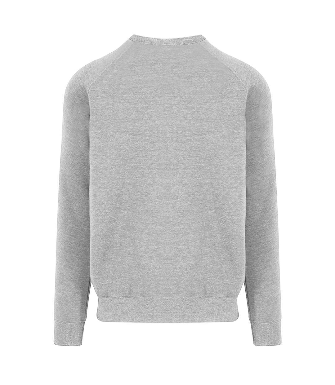 Sweatshirt léger homme gris clair AWDis