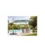 Parasol Déporté Imitation Bois Sevilla 250cm Gris-5