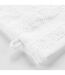 Lot de 2 Gants de Toilette Elegance 15x21cm Blanc-2