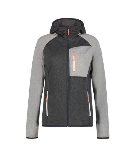 Sweat À Capuche Manches Raglan Femme Gris Icepeak