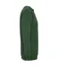 Sweat New Supreme Adulte Vert Bouteille SOLS-2