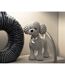 Statuette Déco Caniche Debout Sparky 15cm Argent-5