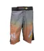 Mens Mma Shorts Multicoloured Masters-1