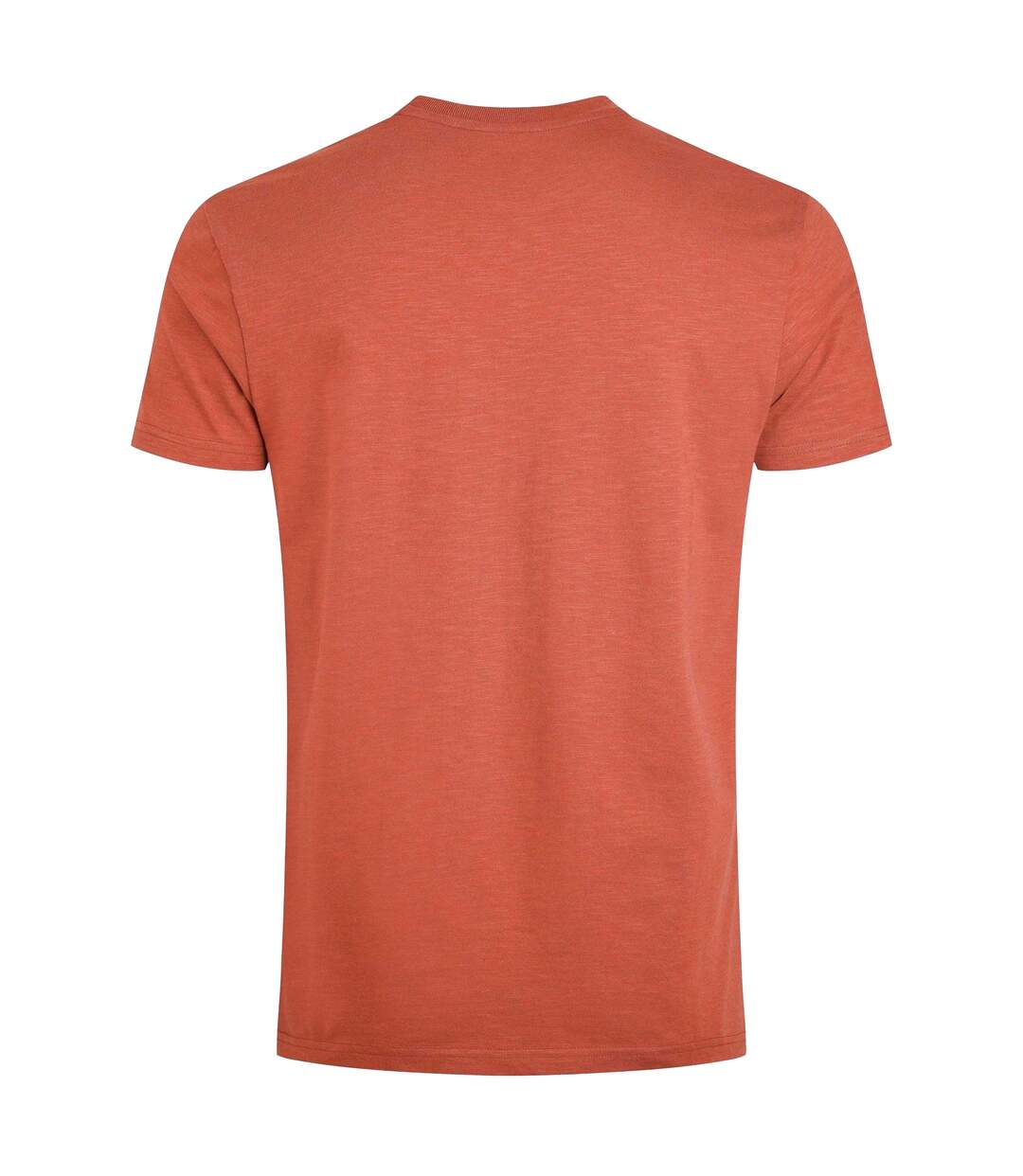 Mens Fished Branded T-shirt Baked Clay Weird Fish-2