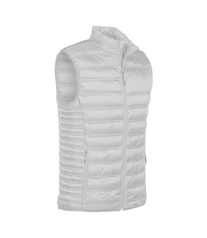 Stormtech Womens/Ladies Basecamp Thermal Quilted Gilet (Titanium)