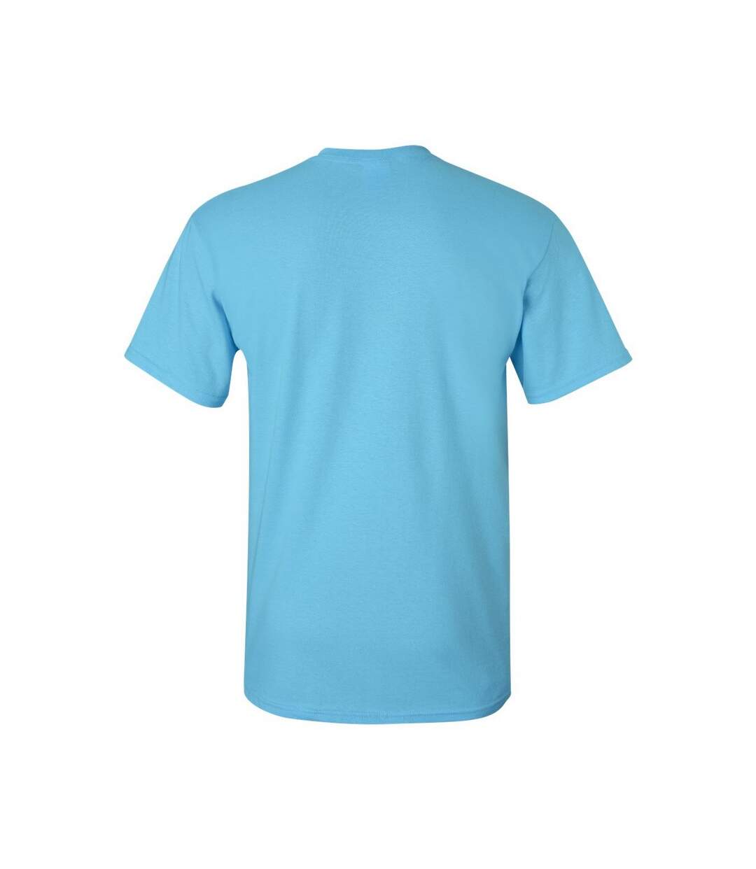 Mens Heavy Cotton T-shirt Sky Blue Gildan-2