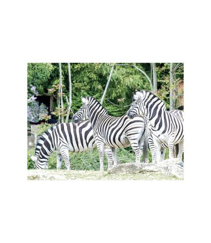 Sortie en famille au Parc Zoologique d'Amnéville - SMARTBOX - Coffret Cadeau Sport & Aventure