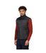 Veste Sans Manches Altoona Homme Gris Phoque Noir Regatta-3