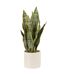 Plante Artificielle en Pot Sansevieria 49cm Vert-1