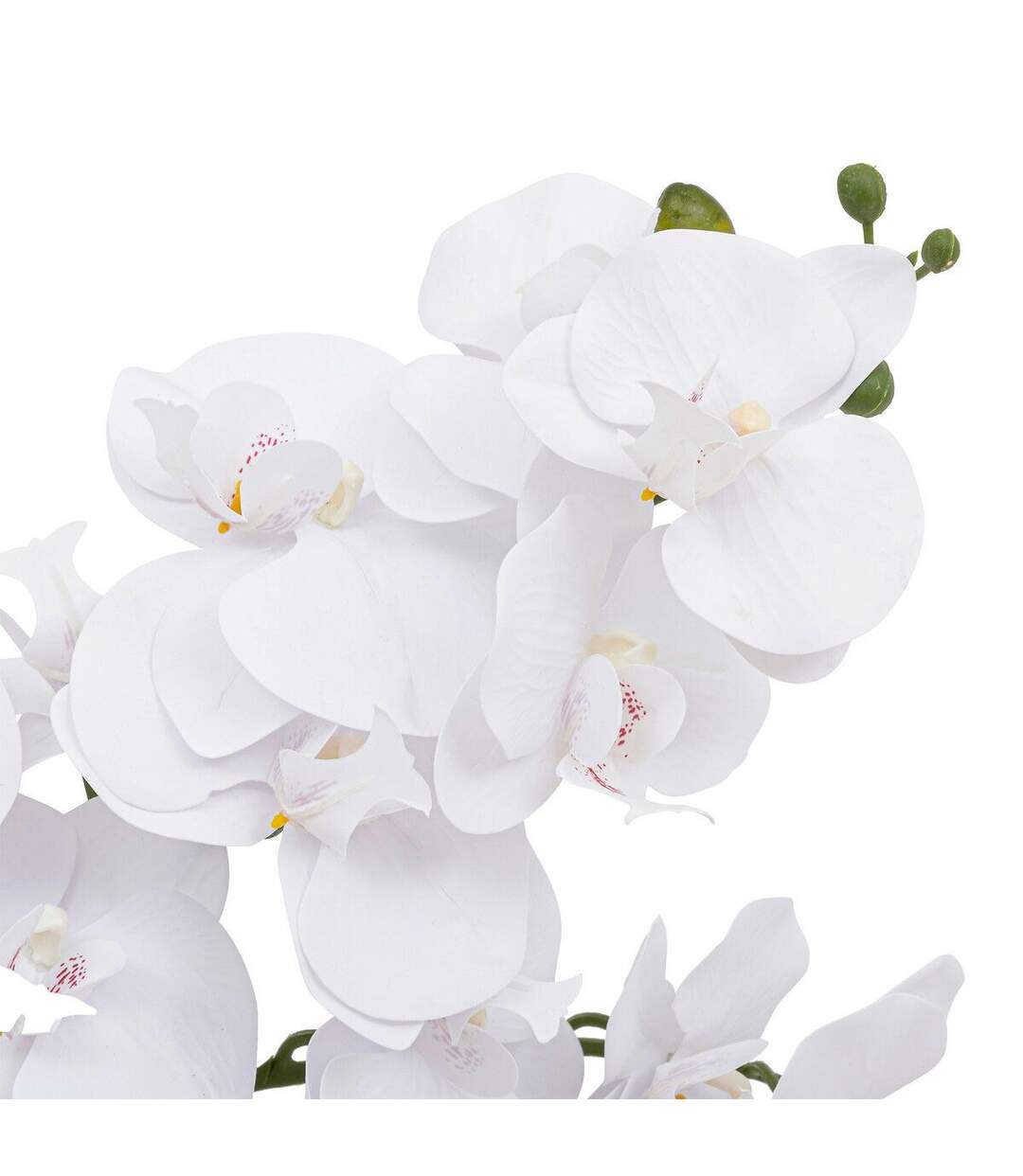 Orchidée Artificielle en Pot Dena 65cm Blanc-2
