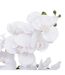 Orchidée Artificielle en Pot Dena 65cm Blanc-2