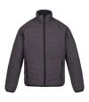 Regatta Mens Bennick 2 in 1 Padded Jacket (Gray)