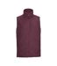 Veste Sans Manches Extérieur Homme Bordeaux Russell-1