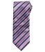 Cravate rayures colorées - PB766 - rayé bleu marine et violet