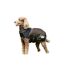 Manteau pour chien comfitec ultra cozi medium/lite 35 cm charbon / bleu / blanc Weatherbeeta