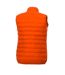 Elevate Womens/Ladies Pallas Insulated Bodywarmer (Orange) - UTPF3250