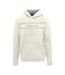 Sweat À Capuche Motif/style Signature Homme Jaune Clair Aquascutum-1