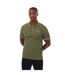 Polo Manches Courtes Homme Vert Blanc Aquascutum-2