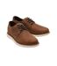 Mens navi leather oxford shoes brown Toms