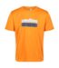 Regatta Mens Fingal VI T-Shirt (Flame Orange) - UTRG7577