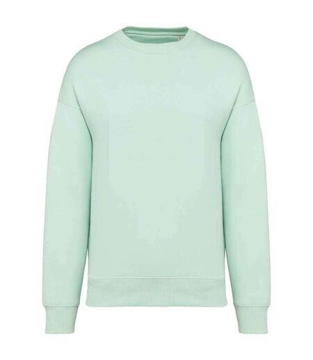 Sweat Femme Turquoise Pâle Native Spirit