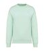 Sweat Femme Turquoise Pâle Native Spirit-1
