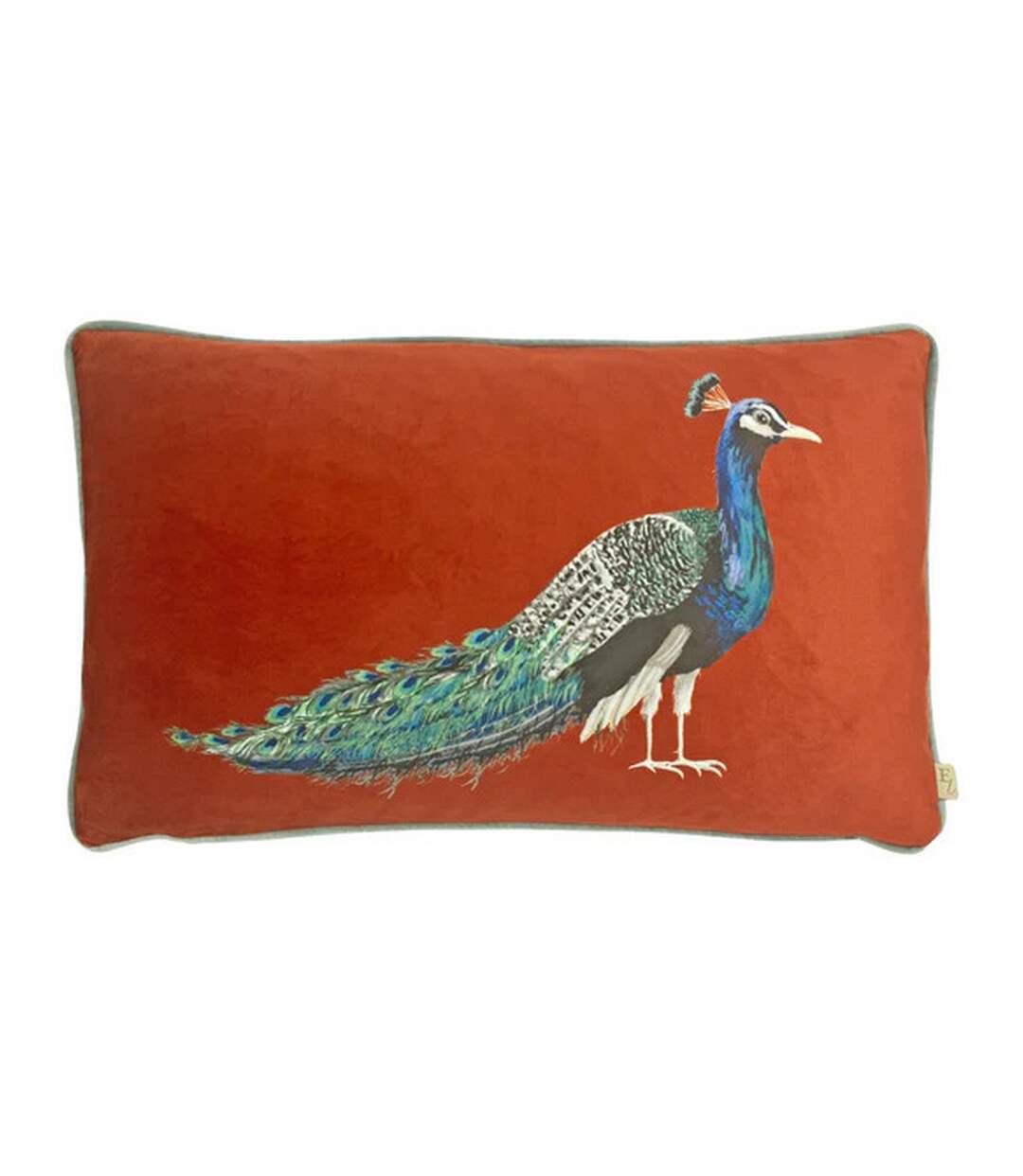 Peacock cushion cover one size sunset Evans Lichfield-1