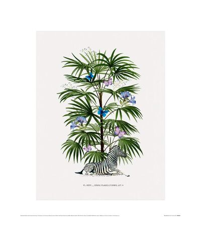 Summer Thornton - Poster (Vert / Bleu / Blanc) (60 cm x 80 cm) - UTPM4794