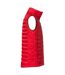 Veste Sans Manches Hudson Homme Rouge Clique-4