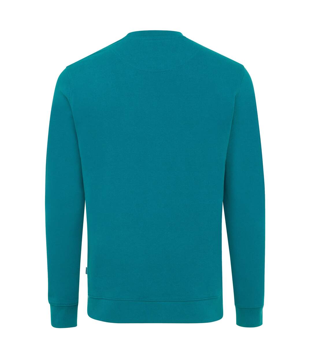Unisex adult zion recycled cotton crew neck sweatshirt verdigris Iqoniq-2