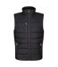 Veste Sans Manches Navigate Homme Noir Gris Phoque Regatta-1