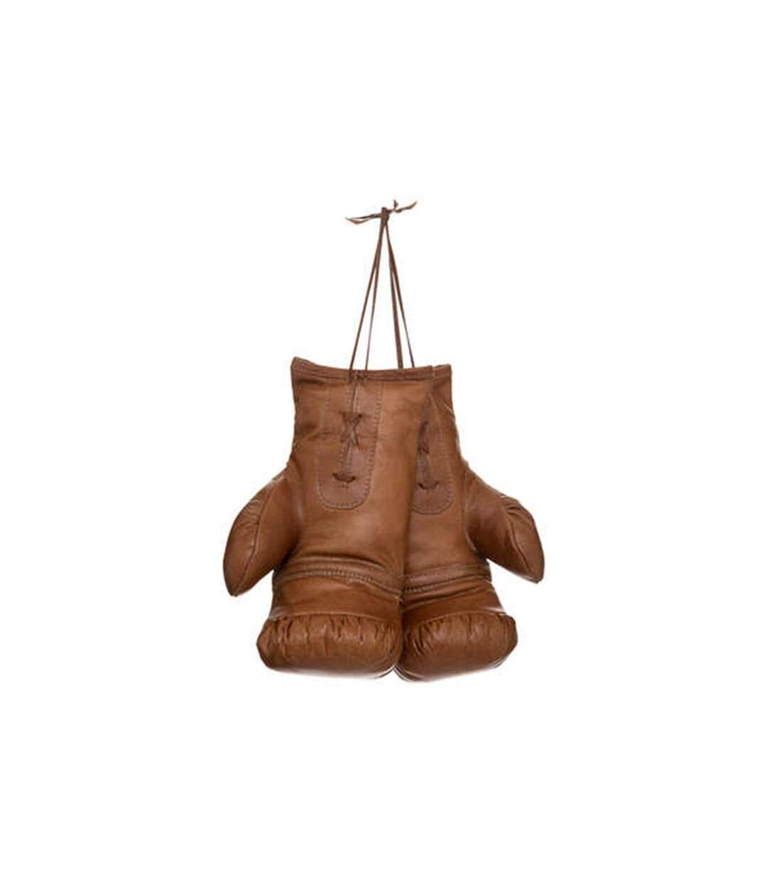 Gants de Boxe en Cuir Loft 25cm Marron Caramel-1