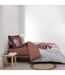 Parure de Lit 3 Pièces Astria 240x220cm Rose-3