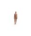 Womens/ladies Plaid Hipster Bikini Bottoms Multicoloured Ralph Lauren-1