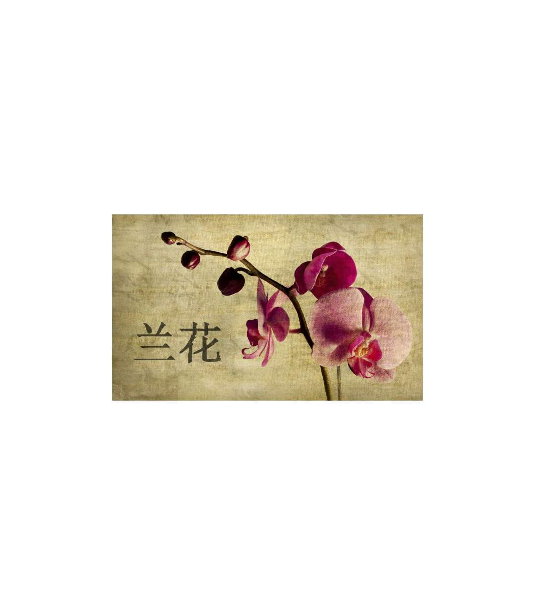 Papier Peint Japanese Orchid 270x450cm-2