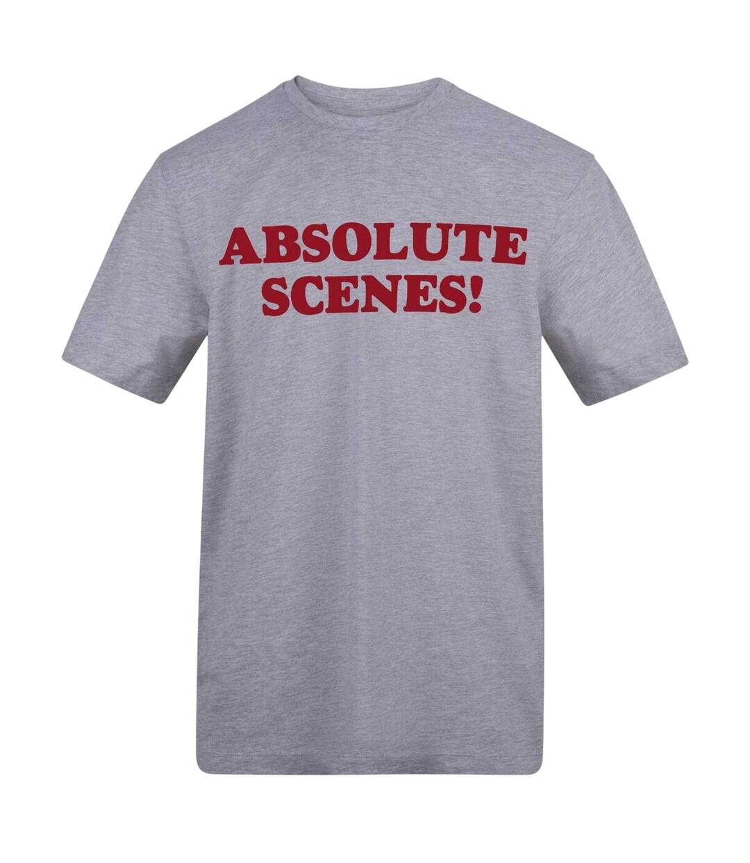 T-shirt Motif/style Imprimé Absolute Scenes Adulte Gris AWD-1