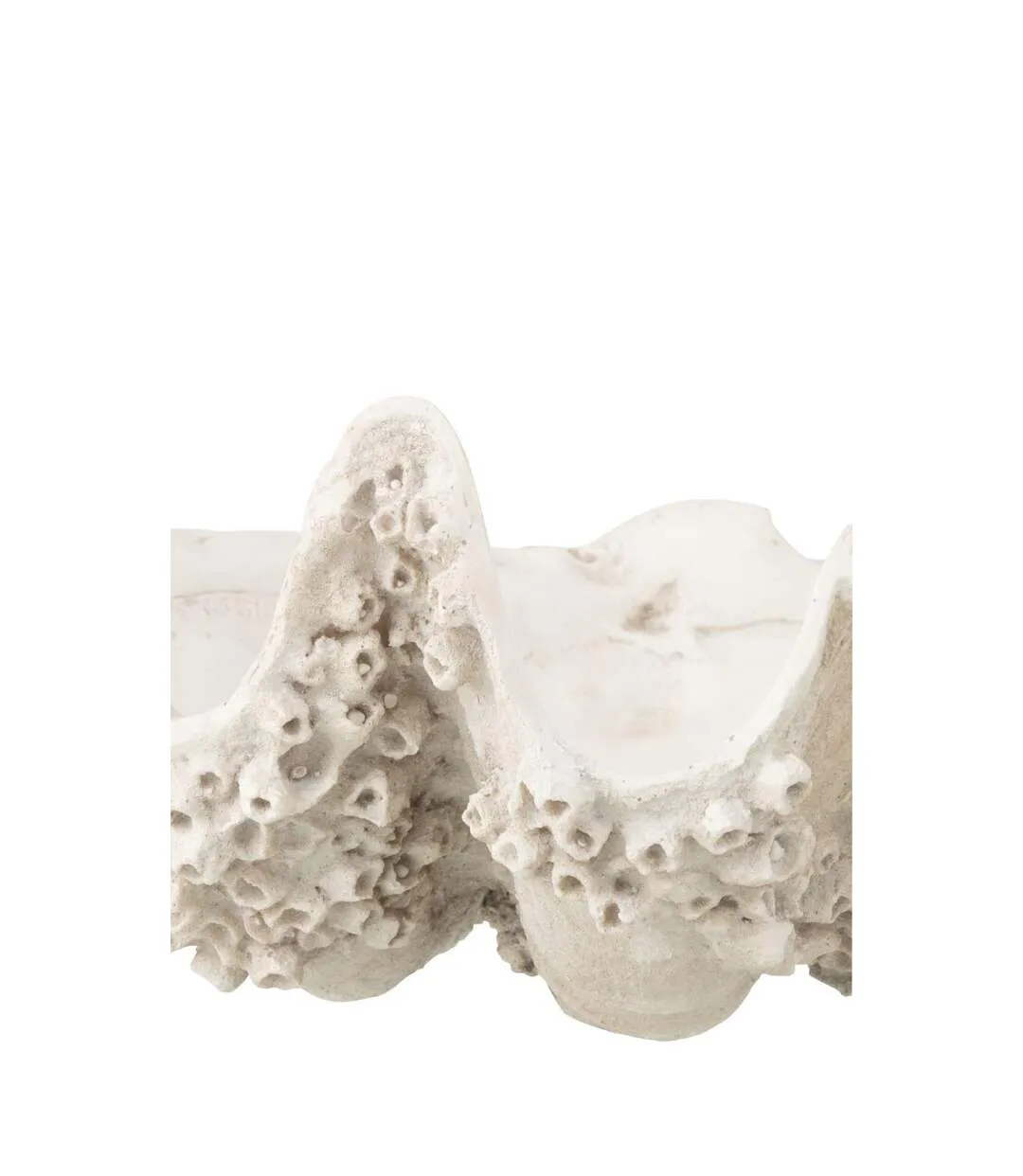 Coupelle Déco Coquillage 52cm Blanc Cassé-2
