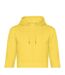 Sweat à capuche king homme jaune B&C