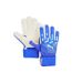 Gants de gardien bleu/blanc homme puma future match - taille 6-1