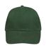 Casquette De Baseball Buffalo Vert Bouteille SOLS-1