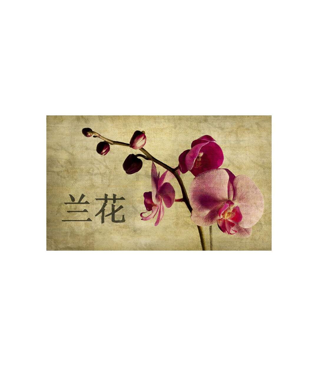 Papier Peint Japanese Orchid 270x450cm-2