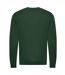 Sweat Adulte Vert Bouteille Awdis-2