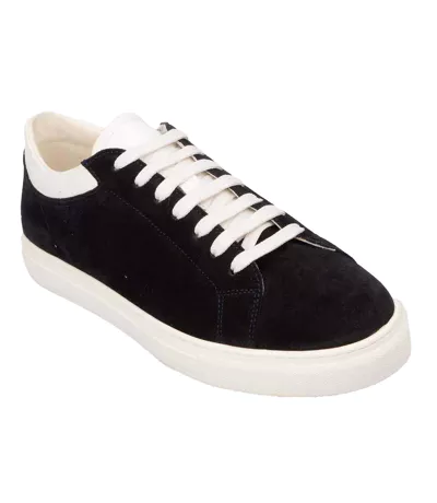 Baskets Femme Bleu Blanc Emporio Armani