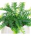Plante Artificielle en Pot Fougère 33cm Blanc-2