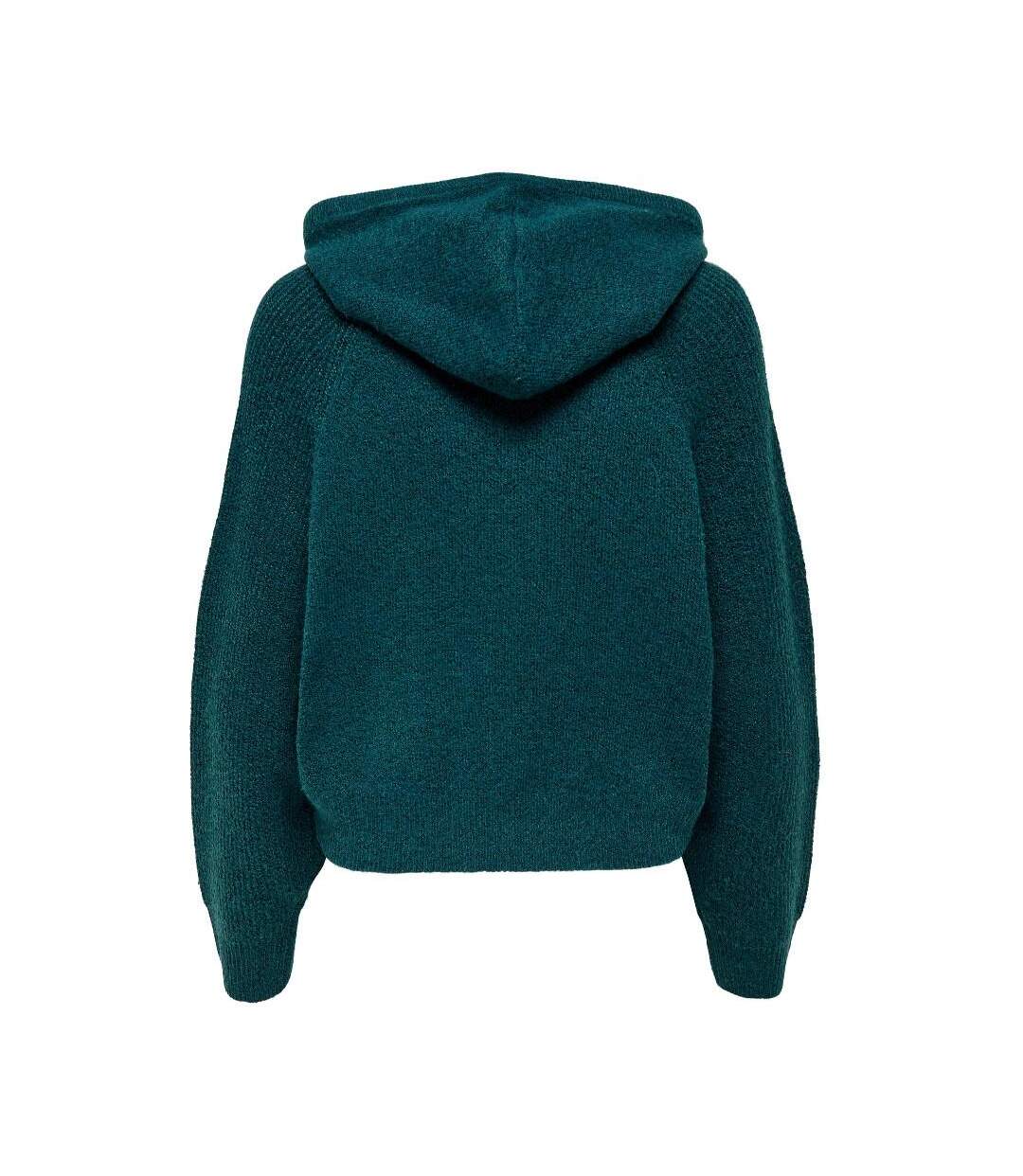 Pull à capuche Turquoise Femme JDY Brilliant - XS-2