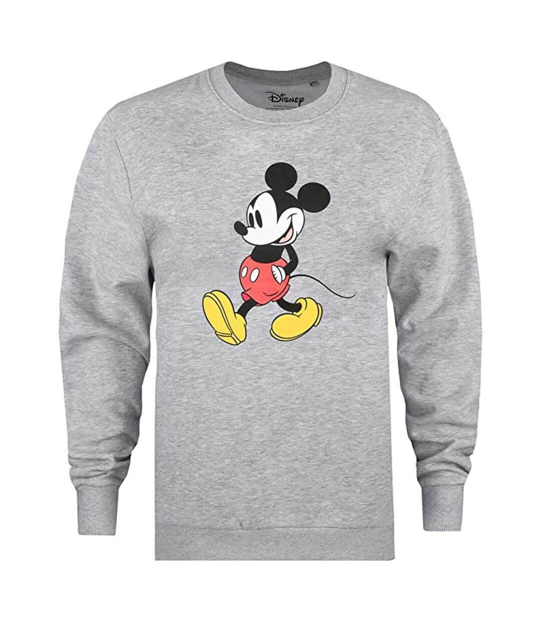 Disney - Sweat STRIDES - Femme (Gris) - UTTV489-1