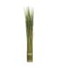 Fagot d'herbes artificielles - 79 cm