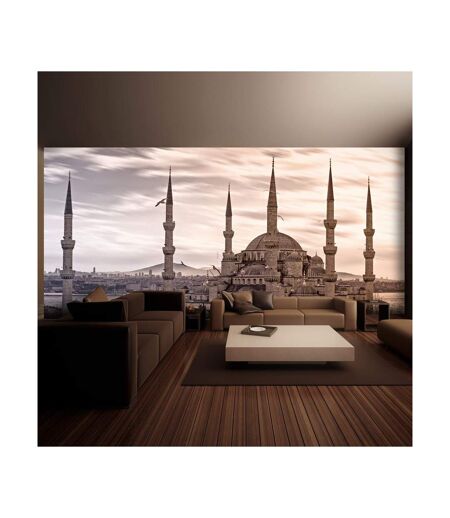 Papier Peint XXL la Mosquée Bleue Istanbul 270x550cm
