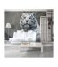 Papier Peint Tigre du Bengale au Zoo II 450x270cm-1