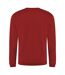 Pro RTX Mens Pro Sweatshirt (Red)